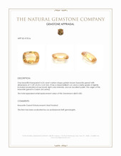 4.25 Ct. Golden Brown Hessonite Garnet from Ceylon (Sri Lanka) Appraisal