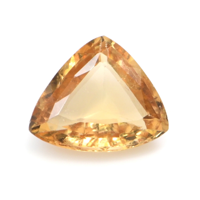 4.91 Ct. Hessonite Garnet from Ceylon (Sri Lanka) Video