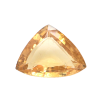 4.55 Ct. Hessonite Garnet from Ceylon (Sri Lanka) Video