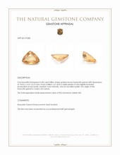 4.40 Ct. Hessonite Garnet from Ceylon (Sri Lanka) Appraisal