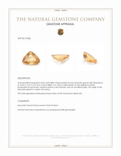 4.40 Ct. Hessonite Garnet from Ceylon (Sri Lanka) Appraisal