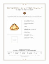 5.43 Ct. Golden Brown Hessonite Garnet from Ceylon (Sri Lanka) Scan Report
