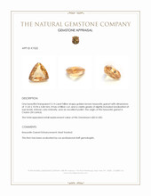 5.14 Ct. Golden Brown Hessonite Garnet from Ceylon (Sri Lanka) Appraisal