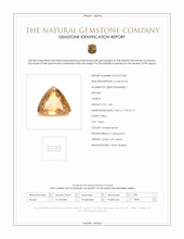 4.44 Ct. Golden Brown Hessonite Garnet from Ceylon (Sri Lanka) Scan Report