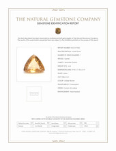 4.44 Ct. Hessonite Garnet from Ceylon (Sri Lanka) Scan Report