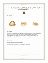 4.01 Ct. Golden Brown Hessonite Garnet from Ceylon (Sri Lanka) Appraisal