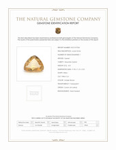 4.01 Ct. Golden Brown Hessonite Garnet from Ceylon (Sri Lanka) Scan Report