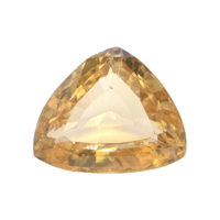 4.01 Ct. Hessonite Garnet from Ceylon (Sri Lanka) Video