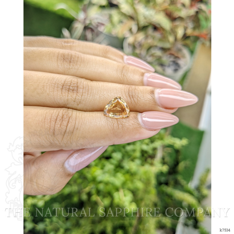 4.01 Ct. Hessonite Garnet from Ceylon (Sri Lanka)