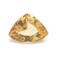 3.48 Ct. Hessonite Garnet from Ceylon (Sri Lanka) Video