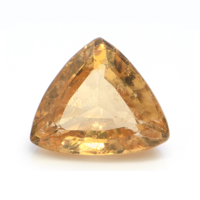 5.53 Ct. Hessonite Garnet from Ceylon (Sri Lanka) Video