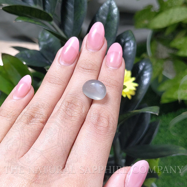 9.60 Ct. Cabochon Moonstone from Ceylon (Sri Lanka)