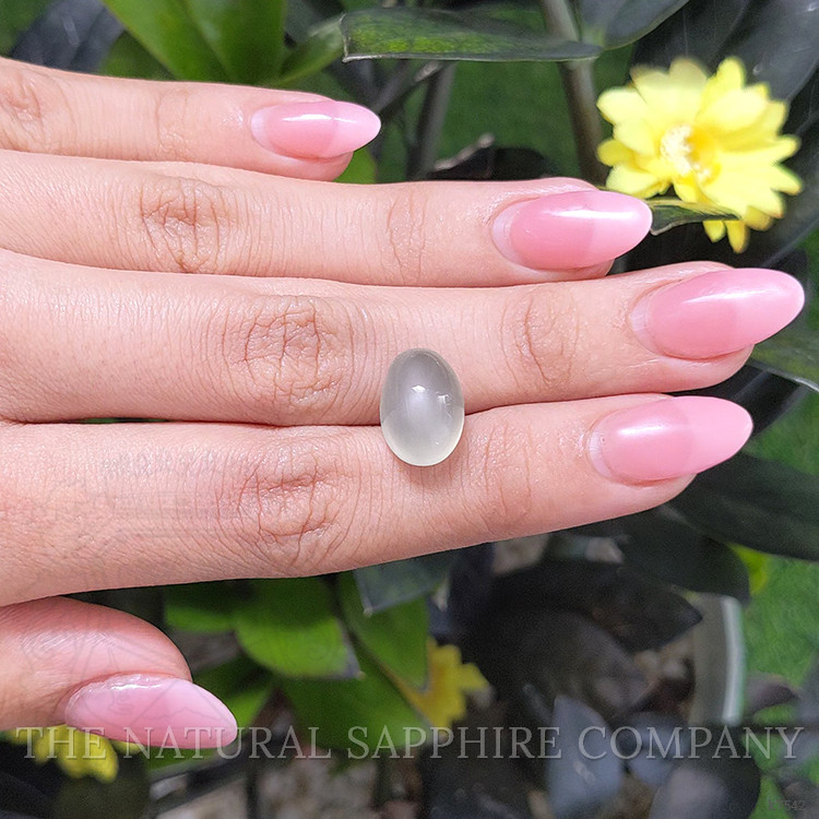 9.60 Ct. Cabochon Moonstone from Ceylon (Sri Lanka)