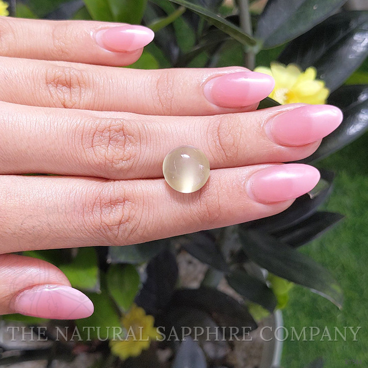 6.64 Ct. Cabochon Moonstone from Ceylon (Sri Lanka)