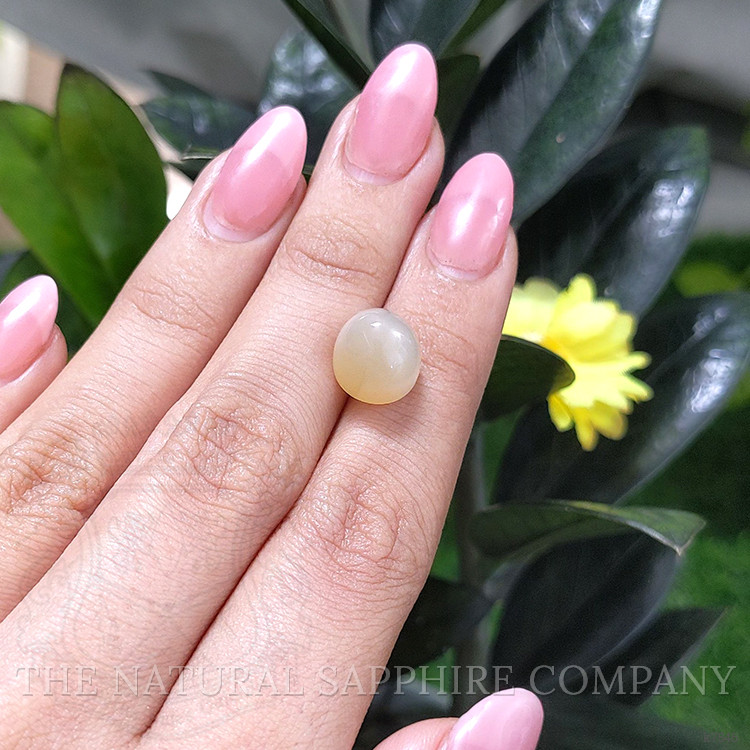 7.78 Ct. Cabochon Moonstone from Ceylon (Sri Lanka)