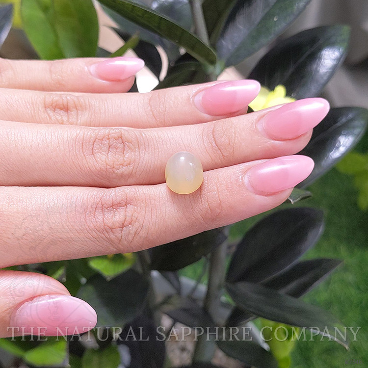 7.78 Ct. Cabochon Moonstone from Ceylon (Sri Lanka)