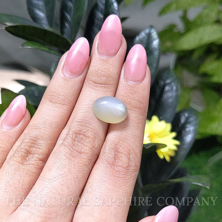 9.09 Ct. Cabochon Moonstone from Ceylon (Sri Lanka)