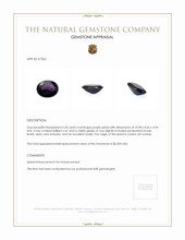 3.20 Ct. Spinel from Ceylon (Sri Lanka) Appraisal
