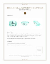 19.49 Ct. Paraiba Tourmaline from Mozambique Appraisal