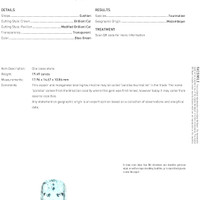 19.49 Ct. Paraiba Tourmaline from Mozambique Scan Report