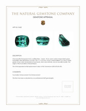 59.66 Ct. Tourmaline from Mozambique Appraisal