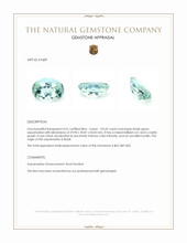 135.69 Ct. Greenish Blue Aquamarine from Brazil Appraisal
