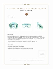 135.69 Ct. Aquamarine from Brazil Appraisal