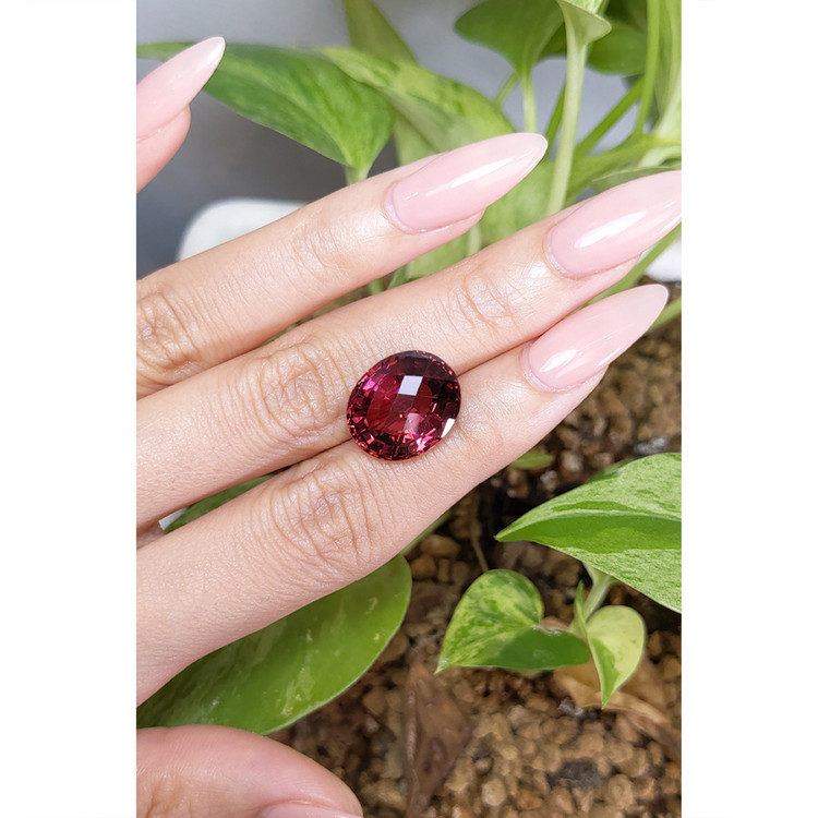 11.08 Ct. Rubellite Tourmaline from Brazil