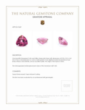 2.68 Ct. Topaz from China Appraisal