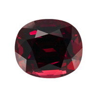 11.90 Ct. Garnet from Ceylon (Sri Lanka) Video