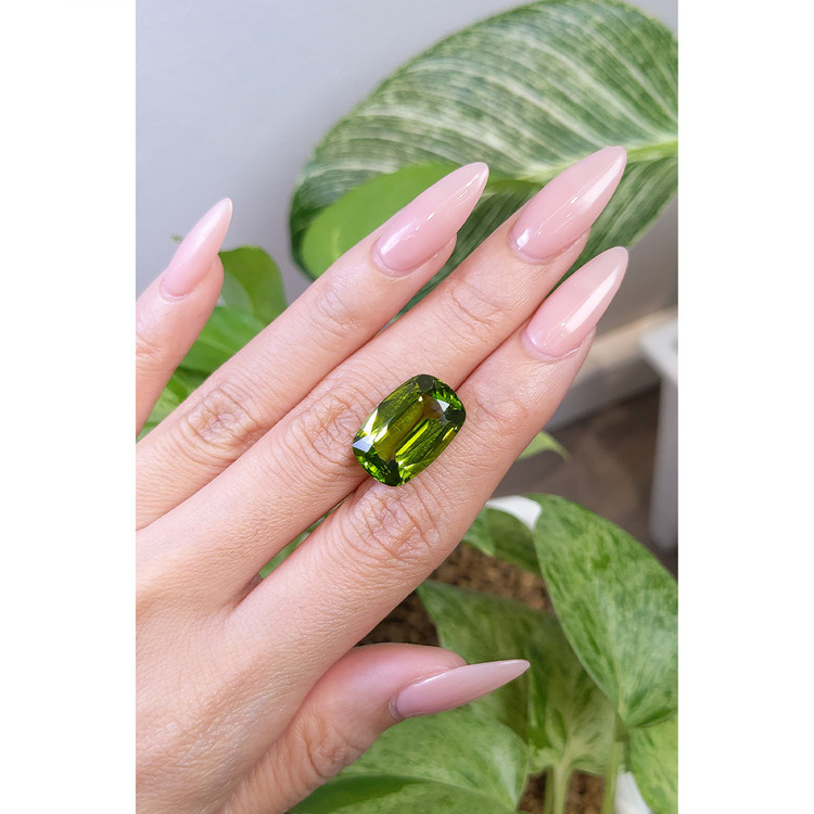13.43 Ct. Peridot from Pakistan