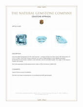 22.90 Ct. Sky Blue Topaz from Ceylon (Sri Lanka) Appraisal