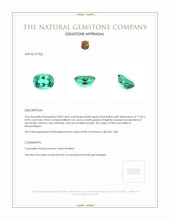 4.80 Ct. Tourmaline from Mozambique Appraisal