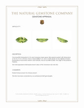 6.18 Ct. Green (Lime Green) Peridot from Pakistan Appraisal