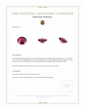 4.22 Ct. Tourmaline from Brazil Appraisal