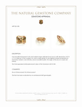 3.30 Ct. Yellowish Brown Zircon from Ceylon (Sri Lanka) Appraisal