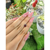 1.30 Ct. Garnet from Namibia Life Style