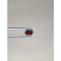 1.16 Ct. Garnet from Namibia Life Style