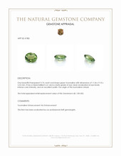 3.76 Ct. Green Tourmaline from Brazil Appraisal