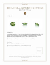 3.76 Ct. Tourmaline from Brazil Appraisal