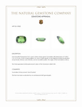 3.01 Ct. Green Tourmaline from Africa Appraisal