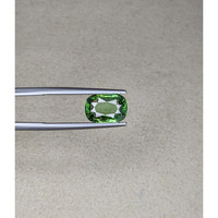 3.01 Ct. Tourmaline from Africa Life Style