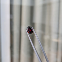 1.69 Ct. Garnet from Namibia Life Style