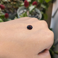 1.59 Ct. Garnet from Namibia Life Style