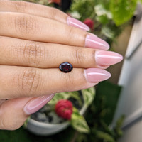 1.49 Ct. Garnet from Ceylon (Sri Lanka) Life Style