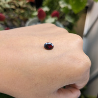 1.49 Ct. Garnet from Ceylon (Sri Lanka) Life Style