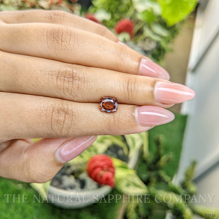 2.73 Ct. Zircon from Ceylon (Sri Lanka)