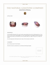 2.03 Ct. Zircon from Ceylon (Sri Lanka) Appraisal