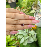 1.74 Ct. Zircon from Ceylon (Sri Lanka) Life Style