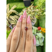 1.99 Ct. Zircon from Ceylon (Sri Lanka) Life Style